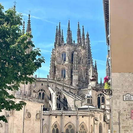 Moderno Y Acogedor En La Catedral *