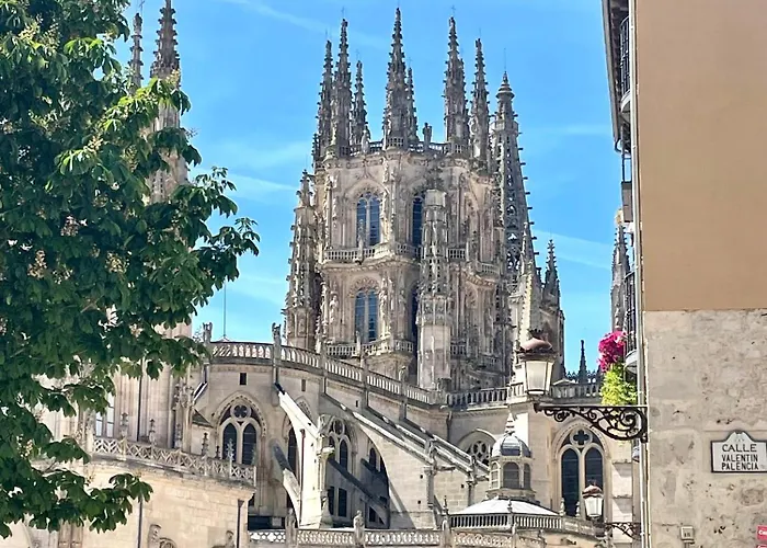 Moderno Y Acogedor En La Catedral *